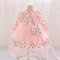 Cinderella Dress + Rose Jacket
