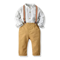 Toddler Boys Grey Plaid Shirt With Brown Trouser Pant And Suspender
