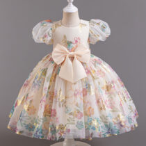 Party Princess Dress Ball Gown