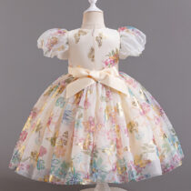 Party Princess Dress Ball Gown