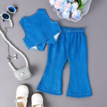Baby Girl, Toddler Girl Blue Jacket With Palazzo Trouser, Casual Wears (3)