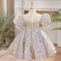 Toddlers Girl Luxury Glittery Sequins Dress, Elegant Special Occasion Dress