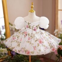 Toddler Girl Flowering Ball Gown, Princess Dress, Party Dress (1)