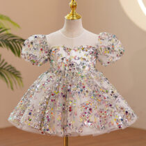 Toddler Girl Embroidered Beaded Luxury Sequin Dress, Ball gowns Princess Dress (2)